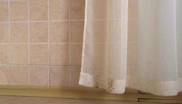 Best Mold Prevention Services  in Ogallala, NE